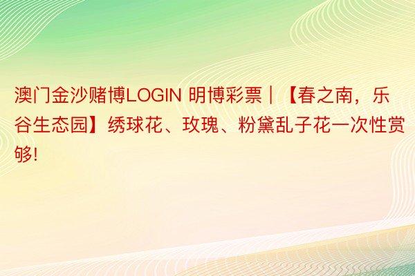 澳门金沙赌博LOGIN 明博彩票 | 【春之南，乐谷生态园】绣球花、玫瑰、粉黛乱子花一次性赏够!